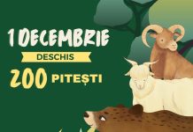 Zoo Pitești, deschisă spre vizitare, de Ziua Națională a României!