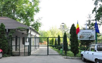 Programul ZOO Pitești în perioada 6 – 7 ianuarie 2026